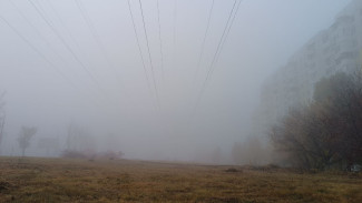 Самарскую область в субботу, 25 октября, накроет сильнейший туман