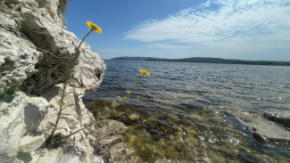 Экотропы Жигулевского заповедника попали на национальный туристический портал