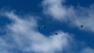 В 400 км от Самары в результате атаки БПЛА погибли мирные граждане