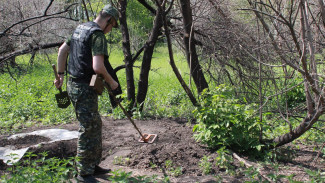 Забил трубой и разрубил лопатой: в Самарской области ссора садоводов закончилась кровавой бойней