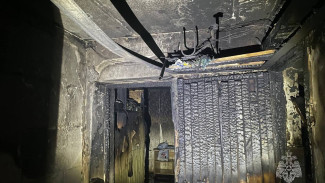 Из-за пожара под Самарой эвакуировали из высотки 35 человек