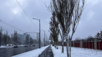 Эндокринолог П. Баранов рассказал самарцам о простом средстве для снижения сахара после еды