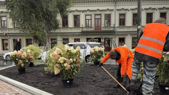 В Самары на площади Революции начали обустраивать новые клумбы