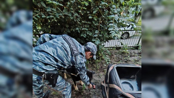 В Тольятти взрывотехники оцепили территорию из-за подозрительного предмета