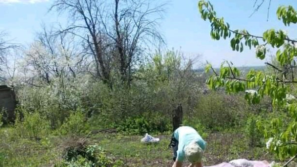 Самарских дачников не накажут за мяту и ромашку на земельных участках