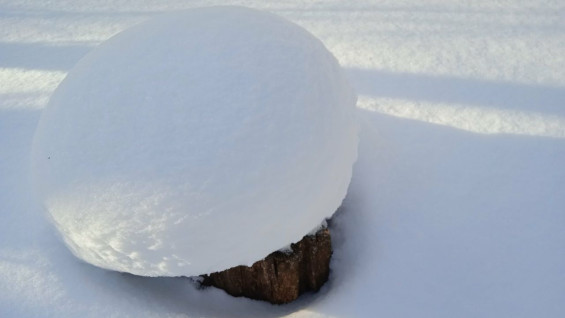 В Кинельском районе занесло снегом камень, из-за которого уволили главу муниципалитета 