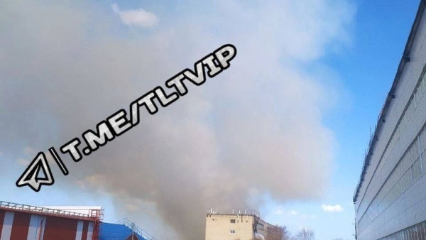 В Самарской области под Тольятти 6 апреля полыхают поля