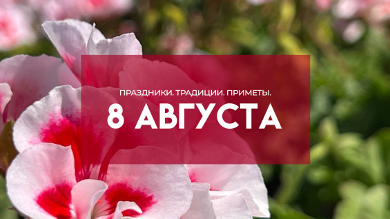 Самый страшный грех! Почему в Ермолаев день 8 августа нельзя есть яблоки и давать в долг 