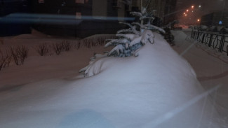 Побито два суточных рекорда: Самарскую область завалило снегом