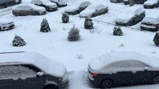 Самарским водителям рассказали, как убрать лед с лобового стекла без вреда для автомобиля