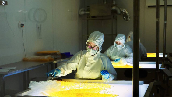 В Самарской области работает уникальный для российской фармацевтики завод 