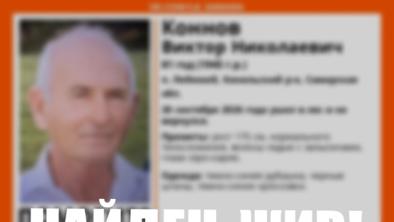 Найден живым: в Самарской области дважды выезжали на поиски пропавшего 81-летнего дедушки