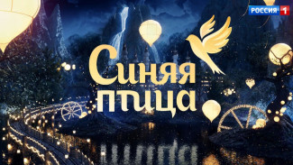 Самарцев приглашают на кастинг проекта «Синяя птица» телеканала «Россия» 