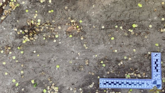 В Самарской области задержан подросток, подозреваемый в угоне автомобиля