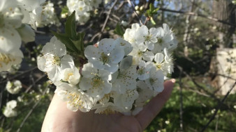 Самарцам рассказали, какая погода ожидается на майские праздники