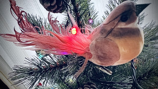 Народные приметы 7 января. Что можно и нельзя делать в Рождество, чтобы не привлечь беду