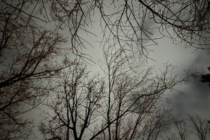 На Самарскую область обрушится мощный ветер 4 ноября