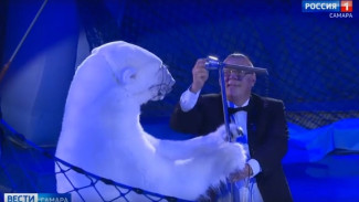 В Самару приехал цирк на льду с шоу-программой «Айсберг» и белыми медведями