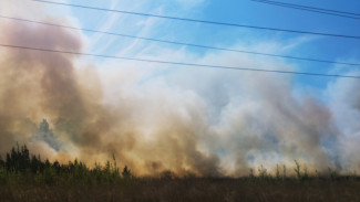 Минприроды Самарской области: на полигоне «Преображенка» очаги тления 450 кв.м.