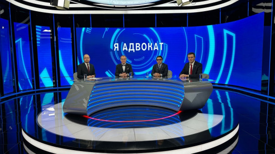 «Я адвокат»: «Эффект Долиной» – системная ошибка или частный случай? 