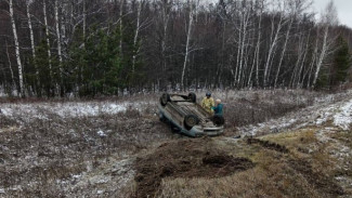 В Самарской области 6 декабря Лада Калина вылетела в кювет