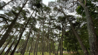 Народные приметы на 5 октября 2024: не делайте этого в день Иона и Фоки, чтобы не навлечь неудачи