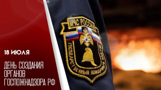 День создания органов Госпожнадзора РФ 18 июля: история, открытки и поздравления