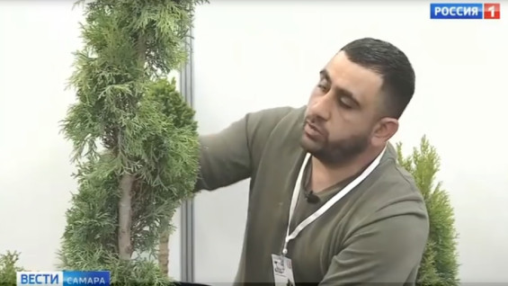 Самарцам рассказали, как превратить хвойные деревья в скульптуры 