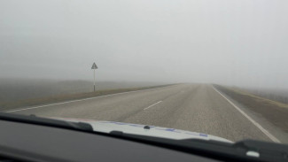 На трассе М-5 под Самарой ввели ограничения из-за метели