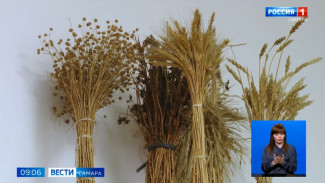 Несколько школ Самарской области стали участниками нового образовательного проекта 