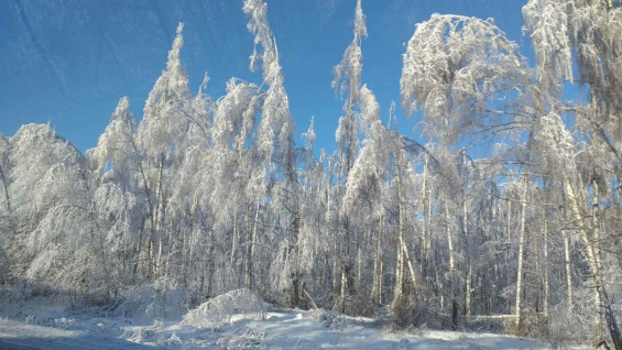 Жителей Самарской области просят воздержаться от поездок по зимнику «Шелехметь — Белые домики»