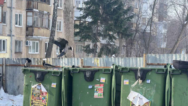 В Самарской области изменят тарифы на вывоз мусора