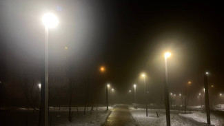 Самарцам рассказали, когда ударят первые затяжные морозы