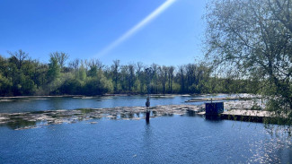 В Самарской области на воде погибли 28 человек