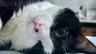 Народные приметы 25 февраля: не делайте в день Алексея Рыбного, чтобы не накликать беду 