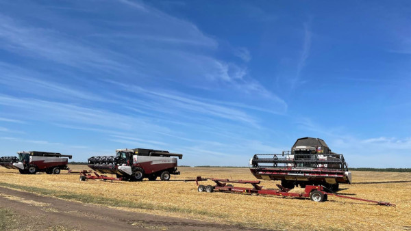 Патрушев: Россия сохраняет прогноз по урожаю зерна на уровне 135 млн тонн в 2025 году