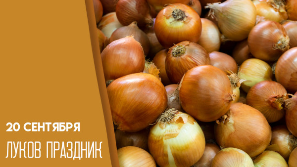 20 сентября — Луков день: не режьте на деревянной доске, чтобы не плакать весь год
