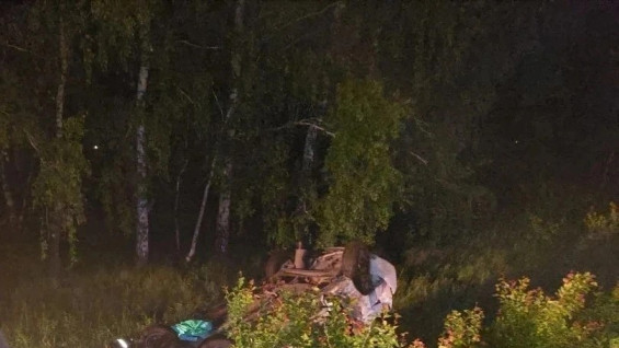 Два человека погибли в ДТП с косулей под Самарой 