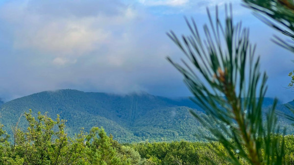 Гороскоп на 8 июля: эти 3 знака ждут финансовые трудности