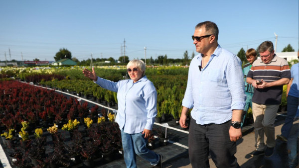 В Самаре обсудили содержание городских зеленых насаждений 