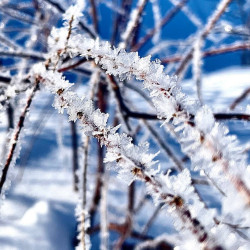 В самарском Минобре рассказали об отмене занятий в школах