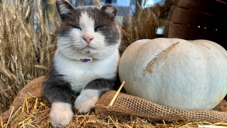 Синоптики рассказали самарцам о погоде в ноябре