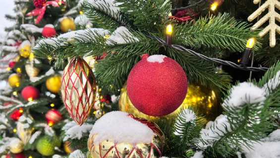 Самарский педиатр Светлана Гаршина рассказала, как уберечь ребенка от ОРВИ в новогодние праздники 