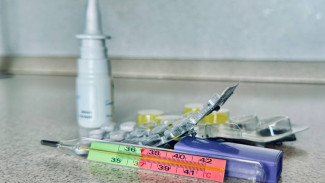 Руководитель Роспотребнадзора Самарской области С. Архипова рассказала о циркулирующем опасном вирусе