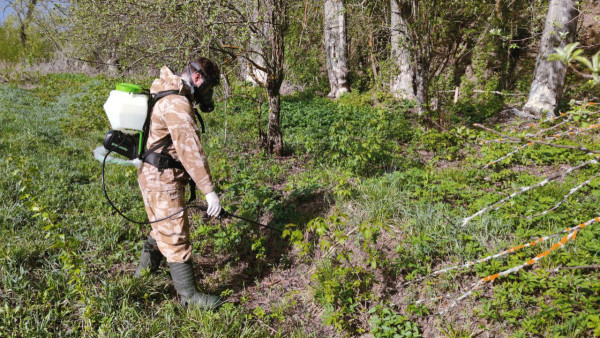 Самарцев предупредили о мелких переносчиках тяжелейшего заболевания