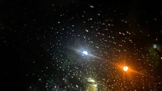 Гороскоп на 12 ноября: этим 4 знакам стоит придержать язык за зубами