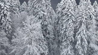 Синоптики рассказали, когда в Самару придёт потепление до 0 градусов