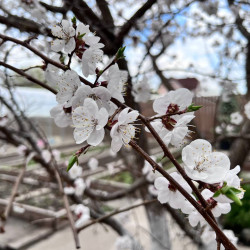 Самарцев в середине марта ждет аномально теплая погода  