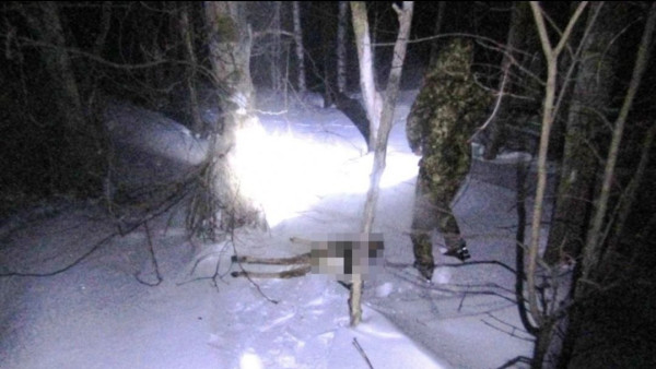 Под Самарой задержали 64-летнего браконьера с ружьём и следами крови в машине