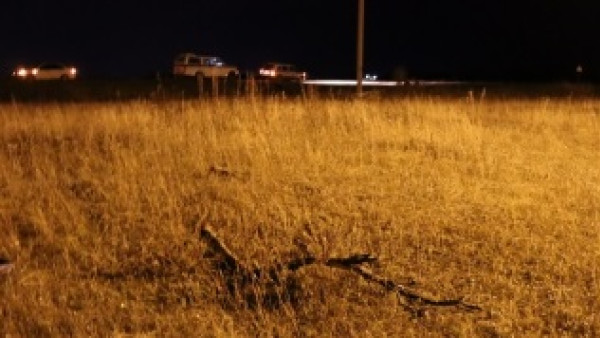 В Самарской области зверски убили двух мужчин 